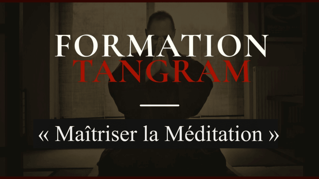Affiche Maitriser la meditation NEW 2